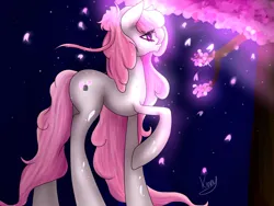 Size: 1024x768 | Tagged: safe, artist:kinjareta, derpibooru import, oc, oc:blossom bun, unofficial characters only, earth pony, cherry blossoms, earth pony oc, flower, flower blossom, glow, image, jpeg, looking offscreen, night, raised hoof, side view, simple background, solo