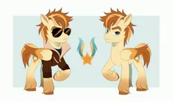Size: 4096x2436 | Tagged: safe, artist:irusumau, derpibooru import, oc, unofficial characters only, pony, clothes, glasses, image, jacket, jpeg, reference sheet, solo
