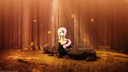 Size: 3840x2160 | Tagged: safe, artist:drakesparkle44, artist:slb94, derpibooru import, edit, fluttershy, pegasus, pony, falling leaves, female, forest, image, irl, leaves, lighting, looking at you, mare, photo, png, ponies in real life, rock, shadow, sitting, smiling, smiling at you, solo, tree, wallpaper, wallpaper edit, watermark