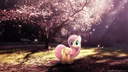 Size: 1920x1080 | Tagged: safe, artist:dashiesparkle, artist:drakesparkle44, derpibooru import, edit, fluttershy, pegasus, pony, bench, female, grass, image, irl, lighting, looking sideways, mare, park, park bench, photo, png, ponies in real life, shadow, smiling, solo, tree, wallpaper, wallpaper edit, watermark