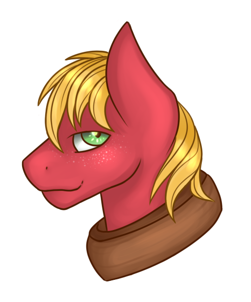 Size: 500x600 | Tagged: safe, artist:cloudbrownie, derpibooru import, big macintosh, earth pony, pony, bust, image, looking at you, male, png, side view, simple background, solo, stallion, transparent background