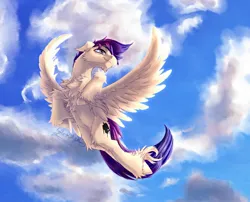 Size: 1540x1242 | Tagged: safe, artist:thatonegib, derpibooru import, oc, unofficial characters only, pegasus, cloud, commission, flying, image, jpeg, looking up, multicolored hair, short mane, sky, smiling, solo, spread wings, unshorn fetlocks, wings, ych result