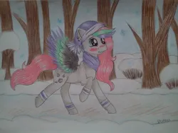 Size: 960x720 | Tagged: safe, artist:dexterisse, derpibooru import, oc, oc:lutineill, unofficial characters only, pegasus, clothes, image, jpeg, outdoors, pegasus oc, scarf, snow, solo, wings