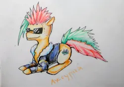 Size: 435x308 | Tagged: safe, artist:elunian, derpibooru import, oc, oc:lussuria, unofficial characters only, earth pony, pony, clothes, image, jacket, jpeg, lying down, multicolored hair, side view, simple background, solo, sunglasses, traditional art