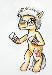 Size: 232x332 | Tagged: safe, artist:elunian, derpibooru import, oc, oc:sasagava, unofficial characters only, earth pony, pony, bandage, boxer, image, jpeg, male, simple background, solo, stallion, standing on two hooves, traditional art