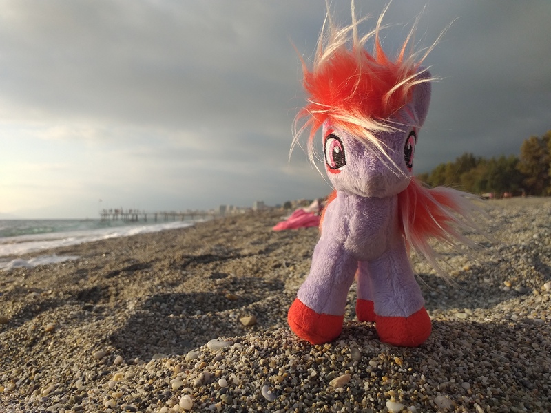 Size: 4128x3096 | Tagged: safe, artist:ferracraft, derpibooru import, sugar moonlight, earth pony, pony, beach, female, g5, image, irl, jpeg, mare, ocean, photo, plushie, ponies around the world, solo, standing, turkey (country), water