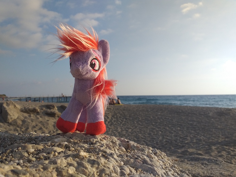 Size: 4128x3096 | Tagged: safe, artist:ferracraft, derpibooru import, sugar moonlight, earth pony, pony, beach, female, g5, image, irl, jpeg, mare, ocean, photo, plushie, ponies around the world, solo, standing, turkey (country), water