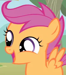Size: 890x1006 | Tagged: safe, derpibooru import, screencap, scootaloo, pegasus, pony, season 1, the show stoppers, close-up, cropped, cute, cutealoo, female, filly, foal, happy, image, open mouth, png, solo, spread wings, wings