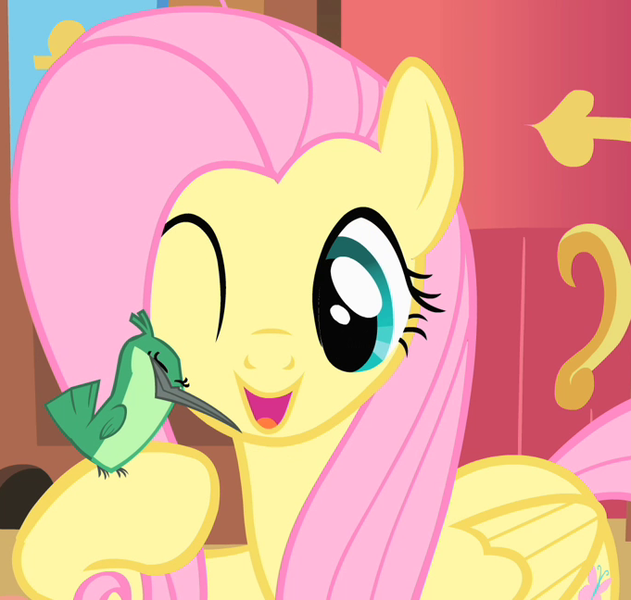 Size: 681x648 | Tagged: safe, derpibooru import, screencap, fluttershy, hummingway, bird, hummingbird, pony, a bird in the hoof, season 1, cropped, cute, female, fluttershy's cottage, hoof hold, image, mare, one eye closed, open mouth, png, shyabetes