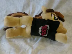 Size: 4096x3072 | Tagged: safe, artist:bluedragonflyplush, derpibooru import, ponified, earth pony, pony, beanie (plushie), clothes, commission, hoodie, horn, image, irl, jpeg, lying down, male, panic! at the disco, photo, plushie, prone, ryan ross, shirt, solo, stallion, t-shirt