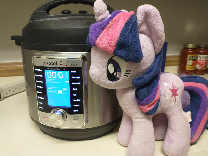Size: 4608x3456 | Tagged: safe, derpibooru import, twilight sparkle, 4de, derpibooru exclusive, image, instant pot, irl, jpeg, photo, plushie, pressure cooker, this can only end well, tomato sauce