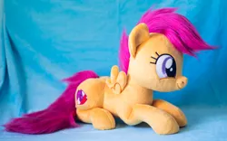 Size: 1914x1195 | Tagged: safe, artist:buttercupbabyppg, derpibooru import, scootaloo, pegasus, pony, female, filly, foal, happy, image, irl, jpeg, lying down, photo, plushie, prone, smiling, solo, spread wings, wings