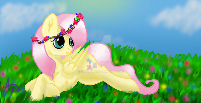 Size: 1024x524 | Tagged: safe, artist:nutmeg04, derpibooru import, fluttershy, pegasus, pony, female, field, floral head wreath, flower, image, jpeg, looking back, lying down, mare, prone, solo