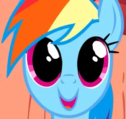 Size: 635x597 | Tagged: safe, derpibooru import, screencap, rainbow dash, pegasus, pony, season 1, sonic rainboom (episode), big eyes, close-up, cropped, cute, dashabetes, female, image, mare, open mouth, open smile, png, smiling, solo, wide eyes