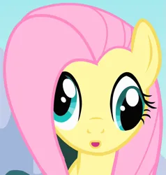 Size: 651x683 | Tagged: safe, derpibooru import, screencap, fluttershy, pegasus, pony, season 1, sonic rainboom (episode), :o, cropped, cross-eyed, derp, derpface, female, image, mare, open mouth, png, solo
