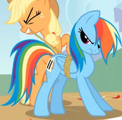 Size: 3528x3459 | Tagged: safe, derpibooru import, screencap, applejack, rainbow dash, earth pony, pegasus, pony, fall weather friends, season 1, bondage, cropped, eyes closed, female, frown, high res, image, mare, mouth hold, png, rope, unsexy bondage