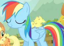 Size: 940x673 | Tagged: safe, derpibooru import, screencap, applejack, rainbow dash, bird, chicken, earth pony, pegasus, pony, fall weather friends, season 1, cute, dashabetes, eyes closed, female, image, jpeg, mare, offscreen character, smiling, solo focus