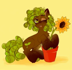 Size: 1972x1922 | Tagged: safe, artist:crimmharmony, derpibooru import, oc, unofficial characters only, earth pony, pony, flower, flower pot, freckles, hoof polish, image, jpeg, looking at you, one eye closed, open mouth, open smile, smiling, sunflower, unshorn fetlocks, wink, winking at you