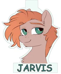 Size: 1555x1875 | Tagged: safe, artist:crimmharmony, derpibooru import, oc, unofficial characters only, pony, badge, bust, chest fluff, eyebrows, eyebrows visible through hair, freckles, image, jpeg, lidded eyes, looking at you, solo