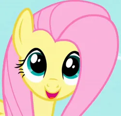 Size: 752x720 | Tagged: safe, derpibooru import, screencap, fluttershy, pegasus, pony, season 1, the ticket master, beautiful, cropped, cute, female, hnnng, image, jpeg, mare, open mouth, open smile, shyabetes, smiling, solo