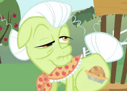 Size: 1362x978 | Tagged: safe, derpibooru import, screencap, granny smith, earth pony, pony, friendship is magic, clothes, cropped, female, granny smith's shawl, image, mare, png, scarf, solo focus