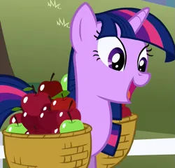 Size: 719x689 | Tagged: safe, derpibooru import, screencap, twilight sparkle, pony, unicorn, season 1, the ticket master, apple, apple basket, basket, cropped, cute, female, food, happy, image, mare, open mouth, open smile, png, smiling, twiabetes