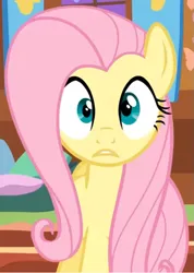 Size: 505x710 | Tagged: safe, derpibooru import, screencap, fluttershy, pegasus, pony, season 1, stare master, cropped, female, fluttershy's cottage, i've seen some shit, image, looking at you, mare, oh shi-!, png, solo, stare