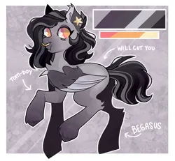 Size: 2701x2501 | Tagged: safe, artist:dejji_vuu, derpibooru import, oc, unofficial characters only, pegasus, pony, image, jpeg, reference sheet, solo