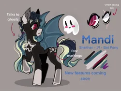 Size: 1032x774 | Tagged: safe, artist:dejji_vuu, derpibooru import, oc, unofficial characters only, bat pony, pony, image, jpeg, pronouns, reference sheet, solo