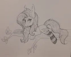 Size: 2048x1632 | Tagged: safe, artist:h0rsefeathers, derpibooru import, oc, unofficial characters only, bat pony, pony, image, jpeg, solo, traditional art