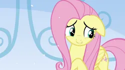 Size: 1280x720 | Tagged: safe, derpibooru import, screencap, fluttershy, pegasus, pony, the crystalling, cute, female, image, mare, png, shyabetes, snow, solo