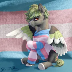 Size: 1257x1259 | Tagged: safe, artist:thatonegib, derpibooru import, oc, unofficial characters only, pegasus, clothes, commission, hoodie, image, jpeg, looking at you, pegasus oc, pride, pride flag, shy, sitting, smiling, solo, transgender pride flag, unshorn fetlocks, wings, ych result