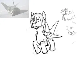 Size: 800x600 | Tagged: artist needed, safe, derpibooru import, original species, plane pony, pony, bomb, dialogue, eyes closed, f-117 nighthawk, flying, helmet, image, implied death, irl, jet, jet fighter, jet plane, photo, plane, png, raised hoof, raised hooves, simple background, smiling, solo, weapon, white background