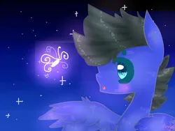 Size: 1024x768 | Tagged: safe, artist:magicangelstarartist, derpibooru import, firefly, oc, unofficial characters only, pegasus, pony, g1, image, jpeg, male, solo, spread wings, stallion, starry background, wings