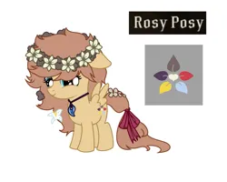 Size: 845x676 | Tagged: safe, artist:cdv, derpibooru import, oc, oc:rosy posy, pegasus, pony, derpibooru exclusive, female, filly, foal, image, png, reference sheet