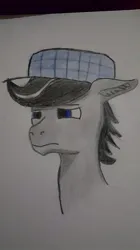 Size: 539x960 | Tagged: safe, derpibooru import, oc, oc:chopsticks, unofficial characters only, pegasus, pony, bust, hat, image, jpeg, male, stallion, traditional art, unamused