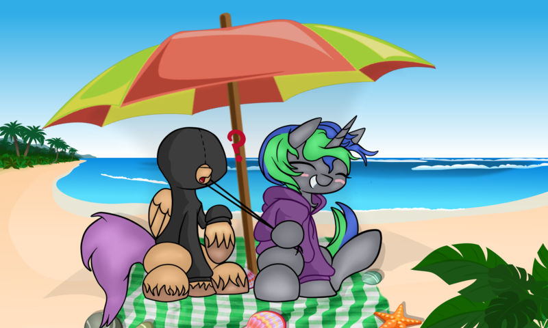 Size: 5000x3000 | Tagged: safe, derpibooru import, oc, oc:bulwark, oc:sparky starfall, pegasus, unicorn, beach, clothes, hoodie, image, png