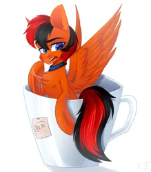 Size: 1750x2000 | Tagged: safe, artist:rinteen, derpibooru import, oc, oc:winged whisper, unofficial characters only, pegasus, pony, annoyed, blue eyes, chest fluff, collar, cup, cup of pony, image, male, micro, pegasus oc, png, simple background, solo, spread wings, stallion, tail, teacup, two toned mane, two toned tail, white background, wings