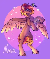 Size: 750x881 | Tagged: safe, artist:shorkerzzz, derpibooru import, oc, oc:nova, unofficial characters only, butterfly, insect, pegasus, pony, chest fluff, colored wings, colored wingtips, eyebrows, eyebrows visible through hair, image, jpeg, rearing, solo, spread wings, two toned wings, unshorn fetlocks, wings