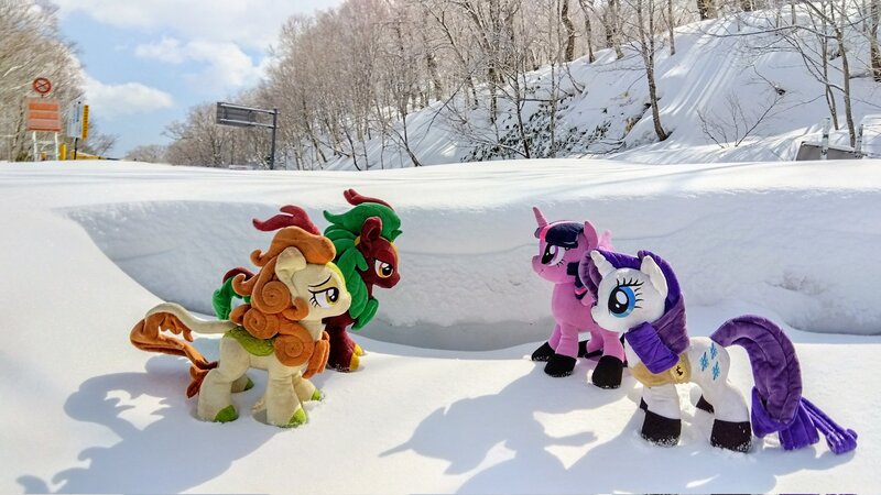 Size: 2048x1152 | Tagged: safe, derpibooru import, photographer:pakapaka1993, autumn blaze, cinder glow, rarity, summer flare, twilight sparkle, kirin, pony, image, irl, japan, jpeg, photo, plushie, snow