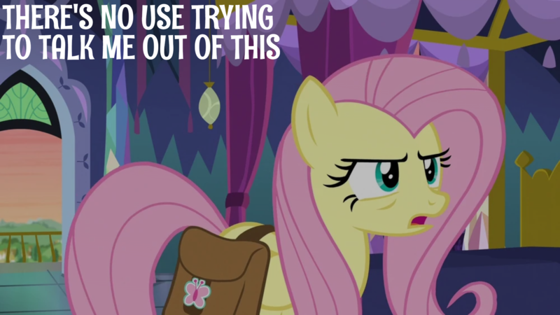 Size: 1920x1080 | Tagged: safe, derpibooru import, edit, edited screencap, editor:quoterific, screencap, fluttershy, a health of information, bag, image, png, saddle bag, solo, twilight's castle