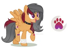 Size: 1280x880 | Tagged: safe, artist:writtenheart, derpibooru import, oc, unofficial characters only, pegasus, pony, bandage, base used, choker, deviantart watermark, eyelashes, female, image, jpeg, mare, obtrusive watermark, paw prints, pegasus oc, simple background, smiling, solo, spiked choker, torn ear, watermark, white background, wings