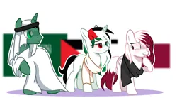 Size: 640x354 | Tagged: safe, artist:diniarvegafinahar, derpibooru import, ponified, pegasus, pony, unicorn, clothes, female, flag, image, keffiyeh, male, mare, nation ponies, palestine, png, qatar, raised hoof, saudi arabia, scarf, shrunken pupils, simple background, stallion, trio, white background