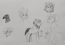 Size: 2048x1413 | Tagged: safe, artist:pony quarantine, derpibooru import, oc, unofficial characters only, bird, crow, earth pony, pony, taiga pony, female, fluffy, grayscale, image, jpeg, looking at each other, looking at someone, looking at you, male, mare, monochrome, pencil drawing, smiling, smiling at each other, smiling at you, stallion, traditional art
