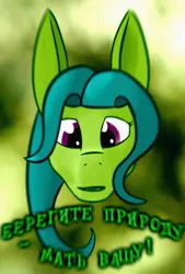 Size: 448x664 | Tagged: safe, artist:kujivunia, derpibooru import, edit, oc, unofficial characters only, dryad, earth pony, abstract background, big ears, bust, cyrillic, earth pony oc, green background, head only, image, looking at you, png, portrait, poster, russian, simple background, solo