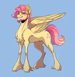 Size: 1894x1945 | Tagged: safe, artist:1an1, derpibooru import, fluttershy, pegasus, pony, butterscotch, chest fluff, curly mane, ears, facial hair, feather, feathered wings, fetlock tuft, goatee, hooves, image, looking at you, male, nostrils, pegasus wings, png, redraw, rule 63, short mane, smiling, snout, solo, tail, wings