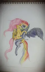 Size: 808x1280 | Tagged: safe, artist:pinkiepony, ponybooru import, fluttershy, rainbow dash, pegasus, pony, semi-anthro, eyes closed, female, flutterdash, image, jpeg, kissing, large wings, lesbian, mare, pinkiepony, shipping, simple background, spread wings, traditional art, wings