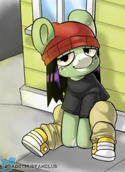 Size: 1280x1765 | Tagged: safe, artist:dagothurfanclub, derpibooru import, oc, oc:caldwell, unofficial characters only, pony, beanie, female, hat, image, jpeg, solo