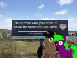 Size: 720x542 | Tagged: safe, artist:luckreza8, derpibooru import, oc, oc:dark driveology, oc:rose love, pony, duo, image, irl, ohio, photo, png, ponies in real life, pride, pride flag, transgender, transgender pride flag, united states