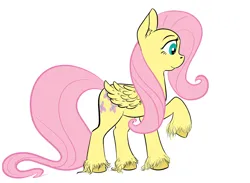 Size: 1000x731 | Tagged: safe, artist:cutiecarbon, derpibooru import, fluttershy, pegasus, pony, image, jpeg, simple background, sketch, solo, unshorn fetlocks, wip